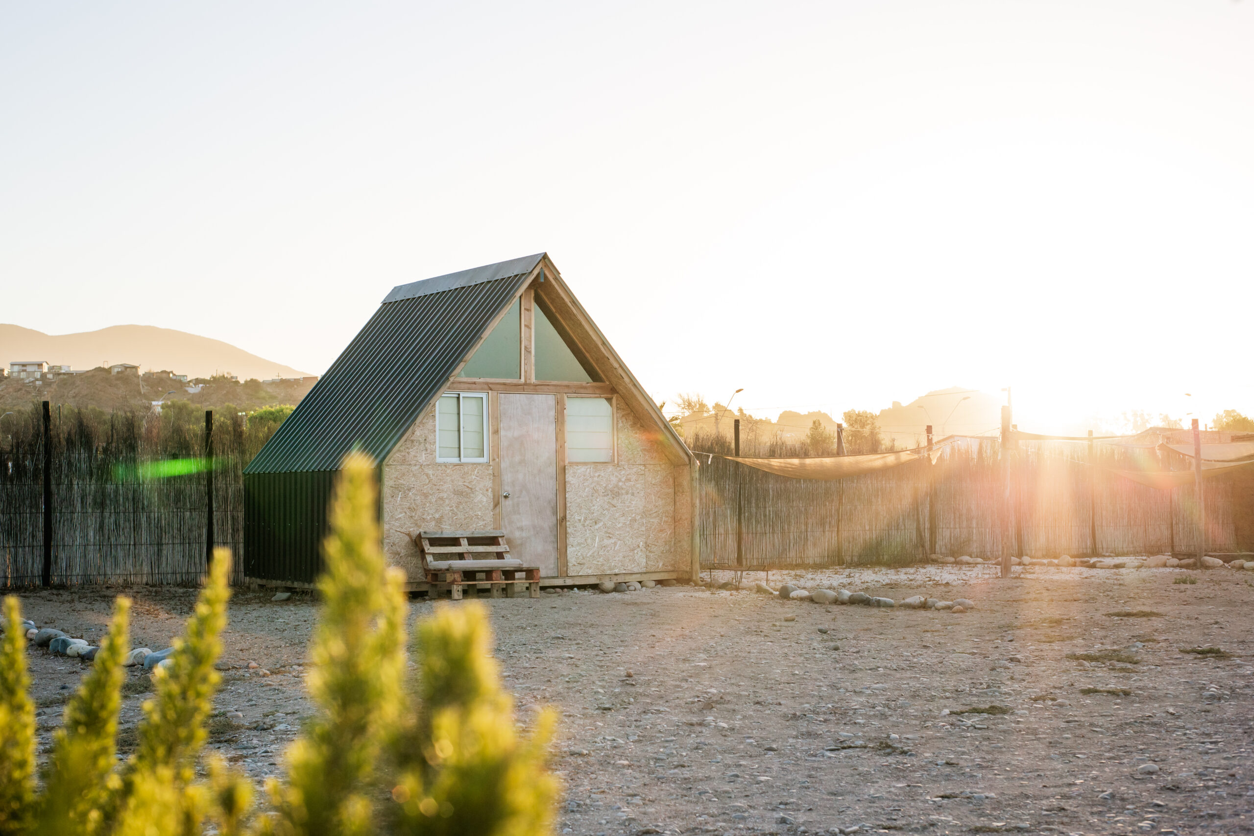 El verde del humedal al atardecer, a pasos del refugio
